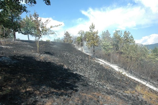 ТРАГЕДИЈА КОД ПРИЈЕПОЉА: Мушкарац страдао у пожару